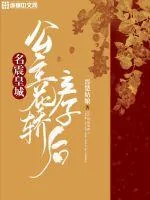 《公主花轿产子后名震皇城》小说封面