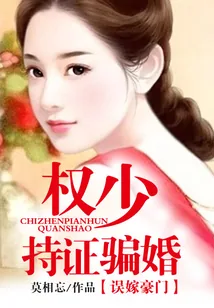 《盛先生持证上岗》小说封面