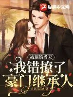 《被逼婚当天，我错撩了豪门继承人》小说封面