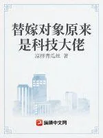 《替嫁对象原来是科技大佬》小说封面
