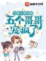 《空降小奶团被五个哥哥宠疯了》小说封面