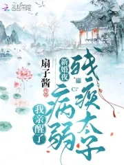 《新婚夜，我亲醒了病弱残疾太子》小说封面