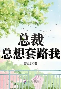 《总裁总想套路我》小说封面