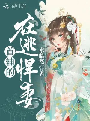 《首辅的在逃悍妻》小说封面
