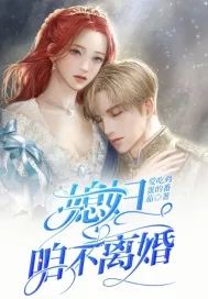 《媳妇，咱不离婚》小说封面