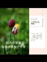 《因为你爱我，我将感恩整个世界》小说封面