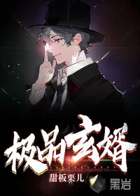 《极品玄婿》小说封面
