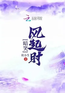 《暗笑风起时》小说封面