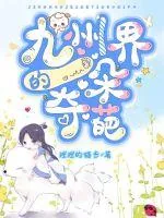 《九州界的一朵奇葩》小说封面