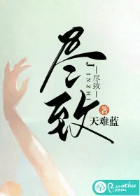 《尽致》小说封面