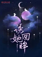 《诱她回眸》小说封面