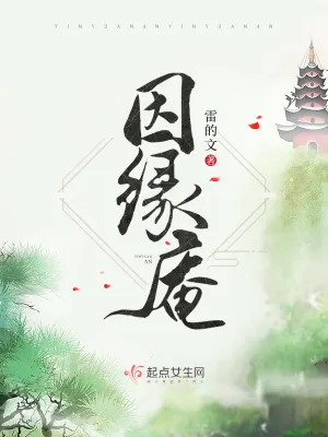《因缘庵》小说封面