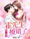 《第一甜妻：霍先生，撩错了！》小说封面