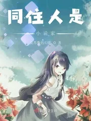 《同住人是小说家》小说封面