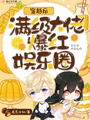 《穿越后满级大佬爆红娱乐圈》小说封面