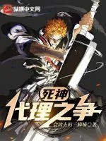 《死神：这副身体厉害吧，用命换的》小说封面