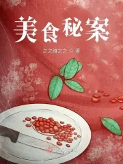 《美食秘案》小说封面
