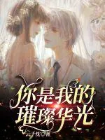 《你是我的璀璨华光》小说封面