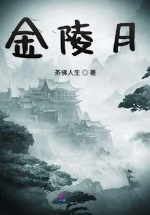 《金陵月》小说封面