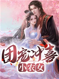 《苏晚顾远》小说封面