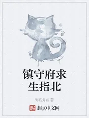 《镇守府求生指北》小说封面