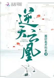 《逆天云凰》小说封面