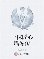 《一抹匠心瑶琴传》小说封面