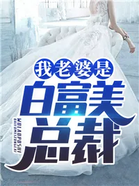 《叶凡林若冰》小说封面