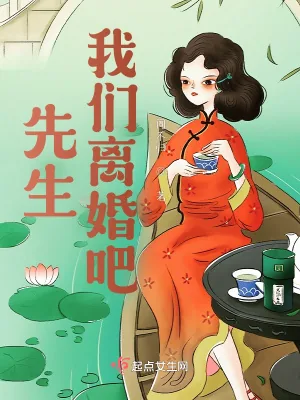 《先生,我们离婚吧》小说封面