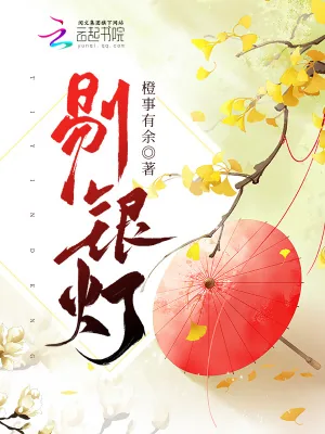 《剔银灯》小说封面