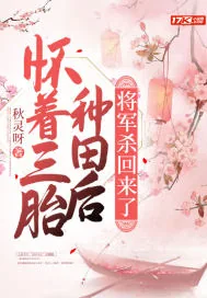 《怀着三胎种田后，将军杀回来了》小说封面