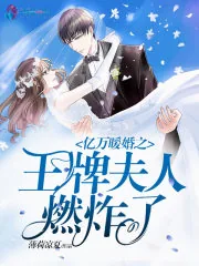 《亿万暖婚之王牌夫人燃炸了》小说封面