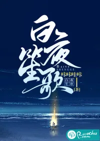 《白夜笙歌》小说封面