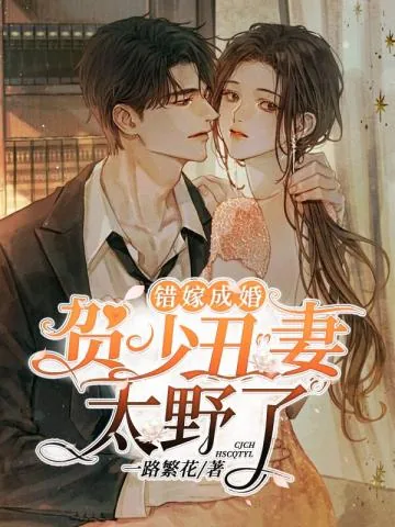《夏阮阮贺渊》小说封面