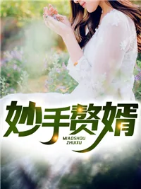 《妙手赘婿叶风云》小说封面