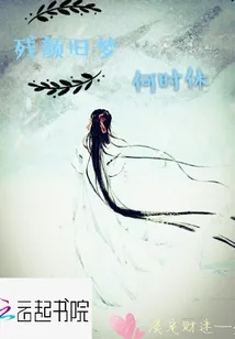 《残颜旧梦何时休》小说封面