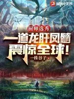 《厨师选秀，一道龙肝凤髓震惊全球！》小说封面