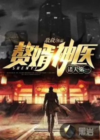 《诸天第一赘婿神医》小说封面