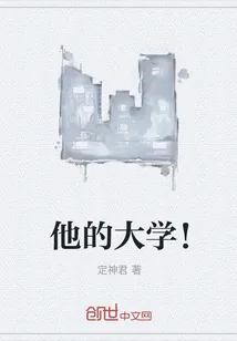 《他的大学!》小说封面