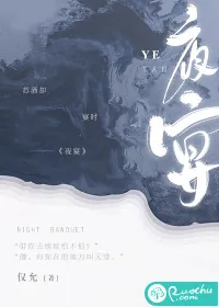 《徐岁宁》小说封面