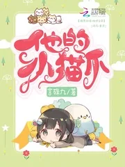 《他的小猫爪》小说封面