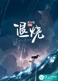 《退烧》小说封面