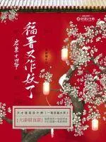 《启禀十四爷福晋又作妖了》小说封面