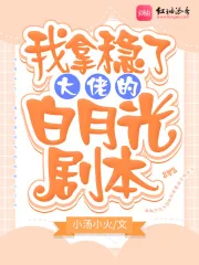 《我拿稳了大佬的白月光剧本》小说封面