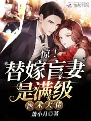 《惊！替嫁盲妻是满级医术大佬》小说封面