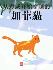 《从漫威开始穿越的加菲猫》小说封面