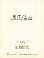 《遇见佳音》小说封面