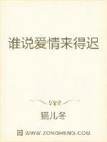 《谁说爱情来得迟》小说封面