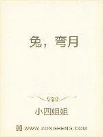 《兔，弯月》小说封面