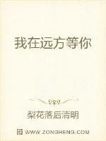 《我在远方等你》小说封面